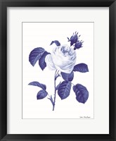 Blue Botanical I Framed Print