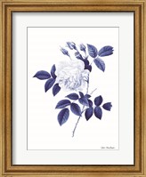 Framed Blue Botanical II