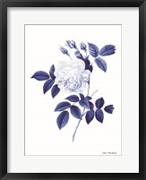 Framed Blue Botanical II