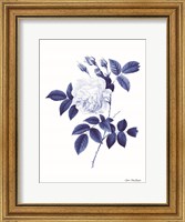 Framed Blue Botanical II