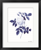 Blue Botanical II Framed Print