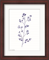 Framed Blue Plant I