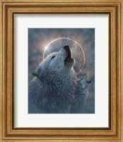 Framed Wolf Eclipse
