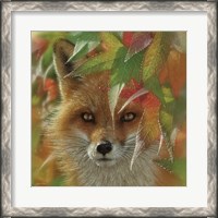 Framed Autumn Red Fox