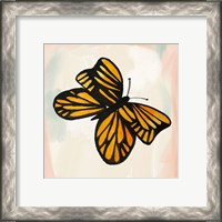 Framed 'Butterfly II' border=