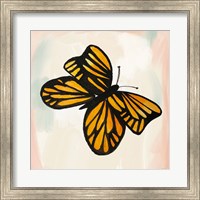 Framed 'Butterfly II' border=