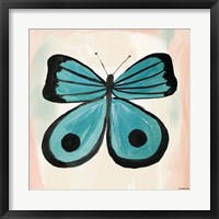 Framed Butterfly III