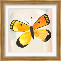 Framed 'Butterfly IV' border=