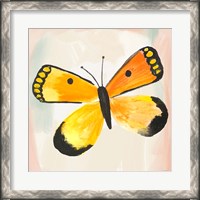 Framed 'Butterfly IV' border=