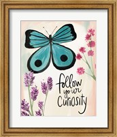Framed Follow Your Curiosity