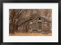 Framed Stone Cabin