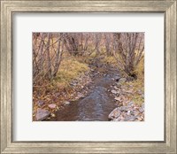 Framed Ochoco Creek