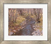 Framed Ochoco Creek