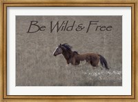 Framed Be Wild & Free