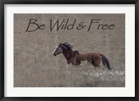 Framed Be Wild & Free