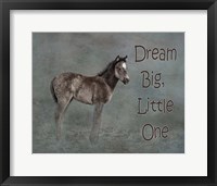 Framed Dream Big