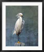 Framed Snow Egret