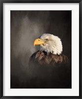 Framed Bald Eagle