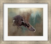 Framed Majesty - Wild Stallion