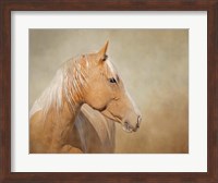 Framed Silk - Mustang Mare