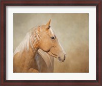 Framed Silk - Mustang Mare