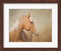 Framed Silk - Mustang Mare