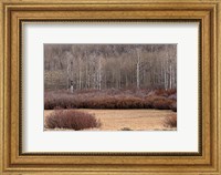 Framed Steens Mountain Meadow