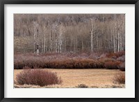 Framed Steens Mountain Meadow