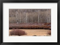 Framed Steens Mountain Meadow