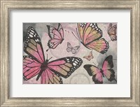 Framed Butterflies I