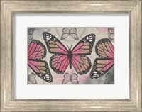 Framed Butterflies II