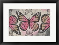 Framed Butterflies II