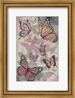 Framed Butterflies III