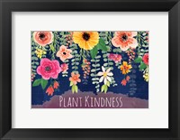 Framed Plant Kindness