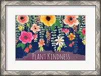 Framed Plant Kindness