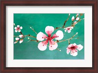 Framed Cherry Blossoms II