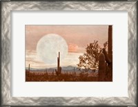 Framed Desert Twilight