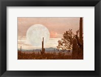 Framed Desert Twilight