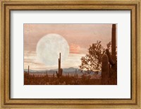 Framed Desert Twilight