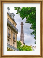Framed Eiffel Tower II