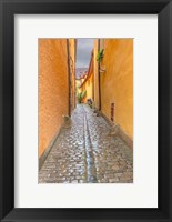 Framed Rothenberg Alley