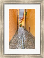 Framed Rothenberg Alley