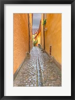 Framed Rothenberg Alley