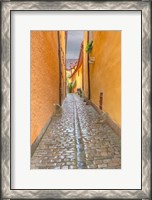 Framed Rothenberg Alley