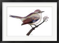 Framed Bird II
