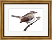 Framed Bird II