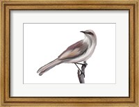 Framed Bird V