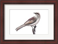 Framed Bird V