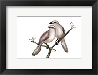 Framed Bird VI