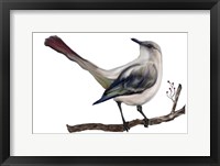Framed Bird VII